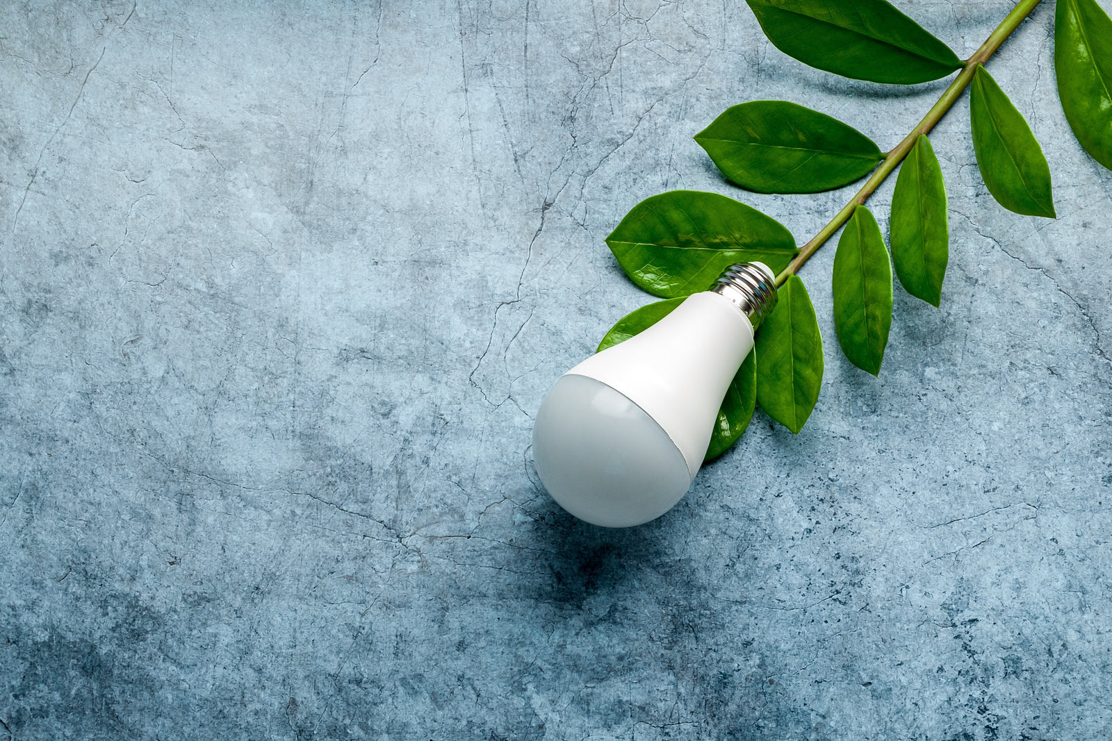 Things to Keep in Mind When Buying LED Light Bulbs - LiquidLEDs™