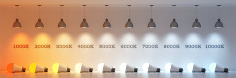 Warm White or Cool White — which one should you choose? - Dulora