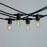 1.5W S14 Shatterproof LED Bulb E27 in Warm White - LiquidLEDs™ - Edison Bulbs