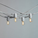 10m White Outdoor Festoon String Lights - LiquidLEDs™ - Festoon String